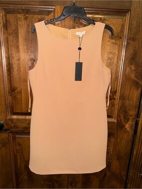 Gianni Bini Sleeveless Tan/Nude Shift Dress